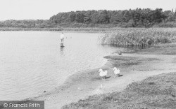 Delamere Lake c.1955, Hatchmere