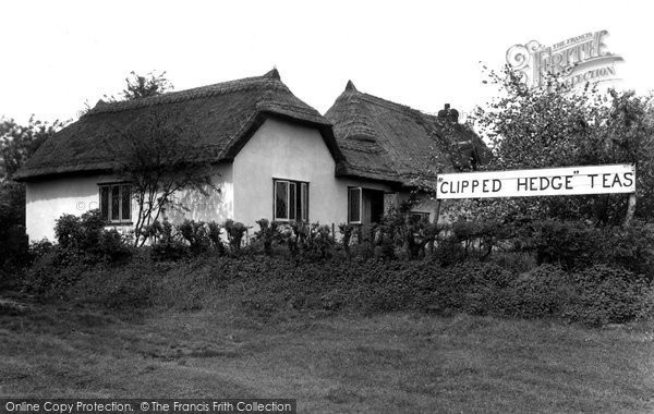 Photo of Hatfield Heath, The Clipped Hedge Tea Rooms c.1955
