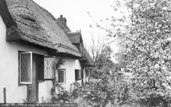 Photo of Hatfield Heath, The Clipped Hedge Tea Rooms c.1955