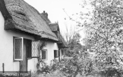 The Clipped Hedge Tea Rooms c.1955, Hatfield Heath