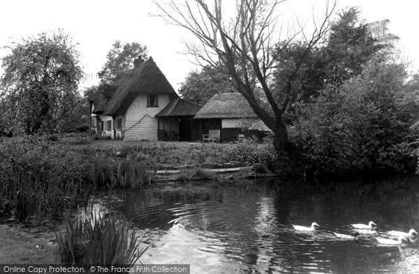 Photo of Hatfield Heath, The Clipped Hedge Tea Rooms c.1960