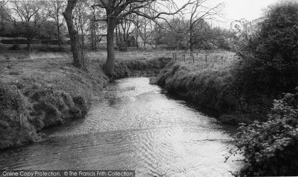 Photo of Hatfield Peverel, The River Ter c.1960