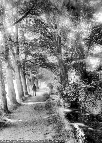Photo of Haverfordwest, Scotchwell Walk 1906