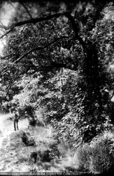 Photo of Haverfordwest, Scotchwell Walk 1906