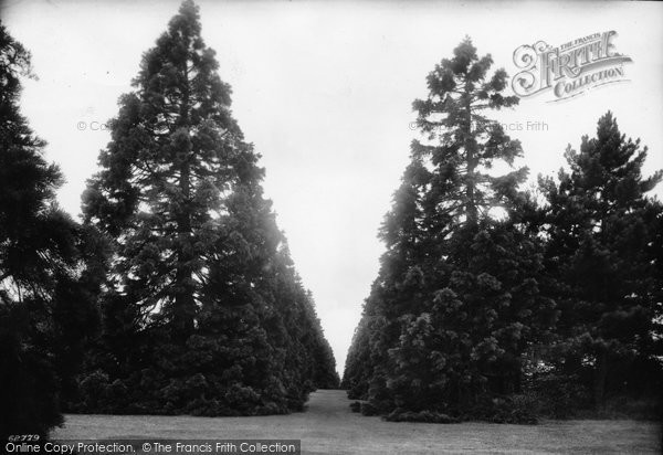 Photo of Havering Atte Bower, Wellingtonia Avenue 1910