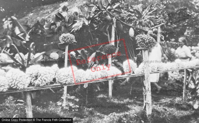 Photo of Hawaii, Hauula, Coral Display c.1935