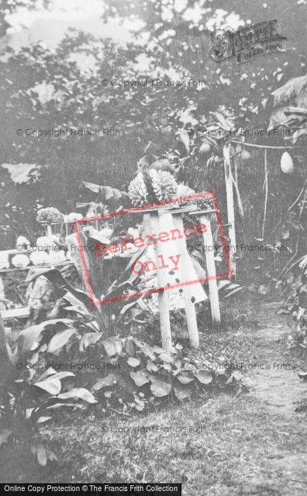 Photo of Hawaii, Hauula, Coral Display c.1935