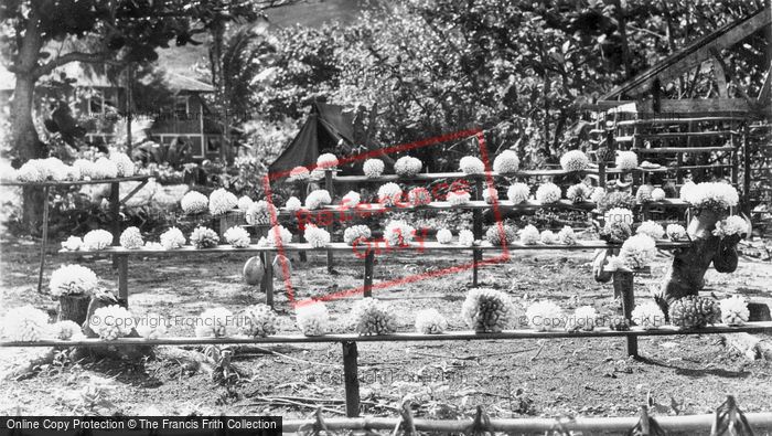 Photo of Hawaii, Hauula, Coral Display Near Cooper Ranch Inn c.1935
