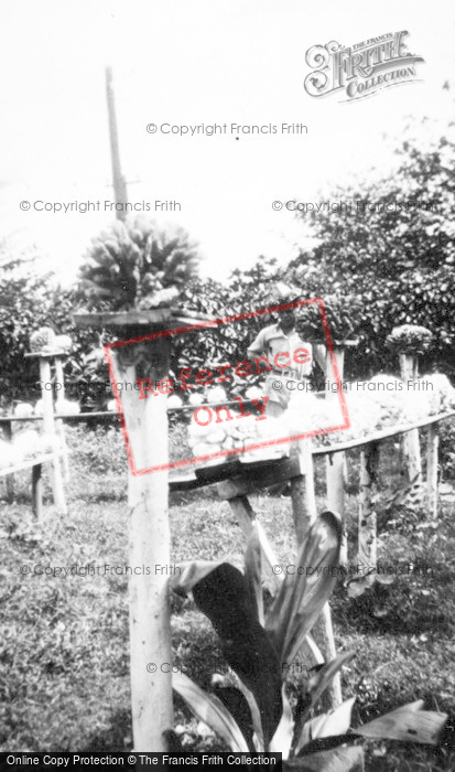 Photo of Hawaii, Hauula, Coral Shop c.1935
