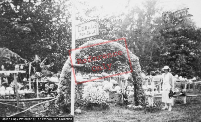 Photo of Hawaii, Hauula, Coral Shop c.1935