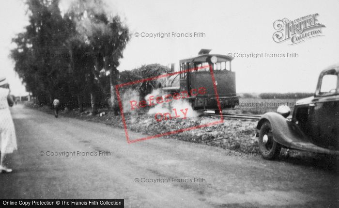 Photo of Hawaii, Honolulu, Carting Sugar Cane c.1935