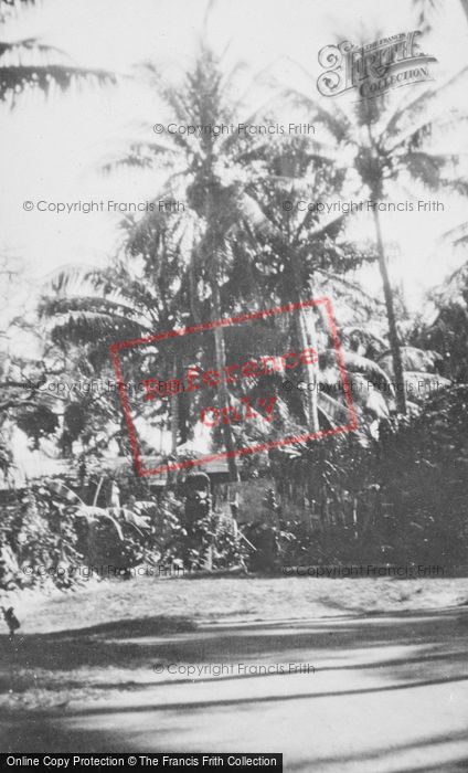 Photo of Hawaii, Lalani Hawaiian Village c.1935