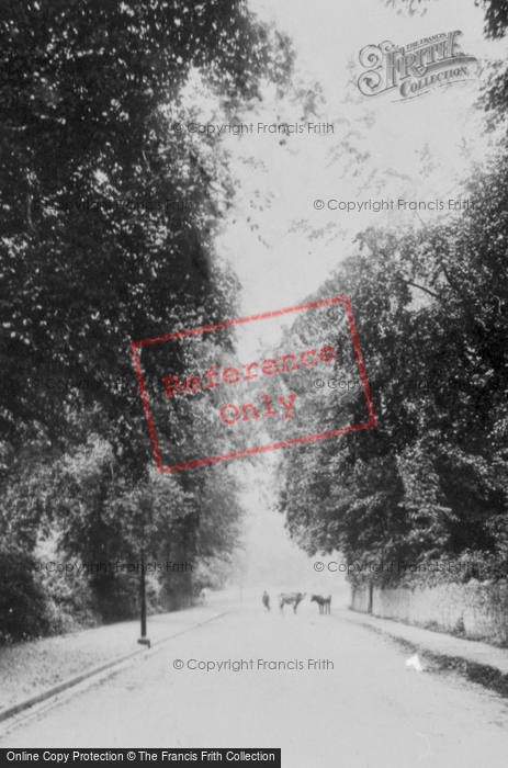 Photo of Hawarden, Hawarden Hill c.1890