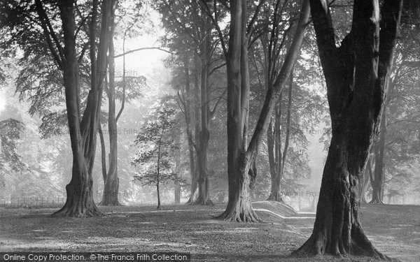 Photo of Hawarden, Park, The Beechwood c.1900