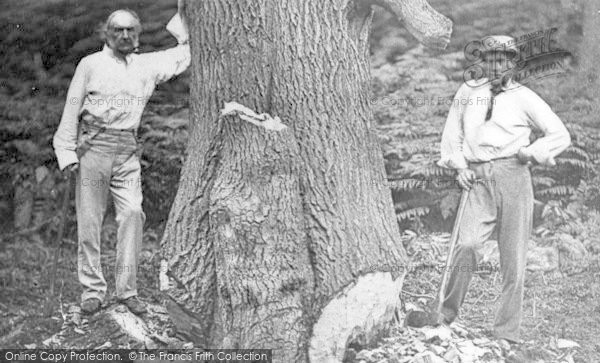 Photo of Hawarden, Park, W E Gladstone And Companion Tree Felling c.1880