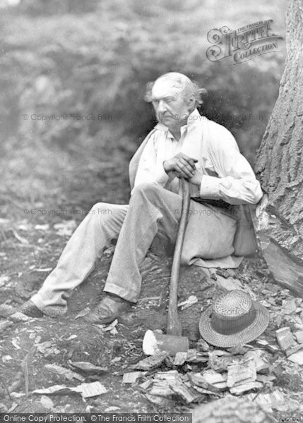 Photo of Hawarden, Park, W.E.Gladstone Tree Felling 1877