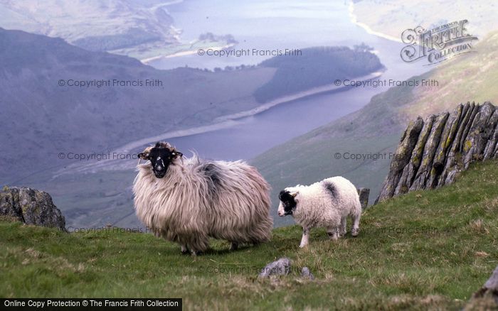 Photo of Haweswater, From Harter Fell c.1975
