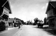 Highgate 1904, Hawkhurst
