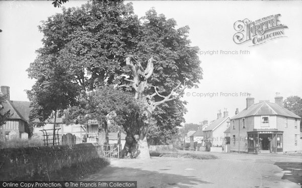 Photo of Hawkhurst, Old Oak 1925