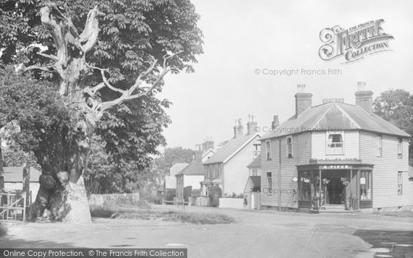 Photo of Hawkhurst, Old Tree And Village Shop 1925
