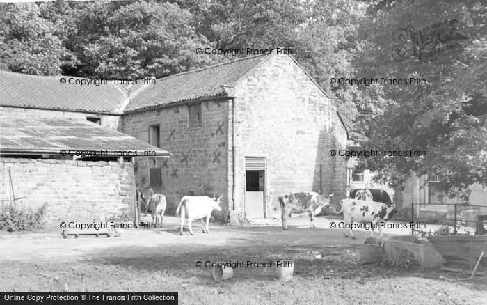Photo of Hayburn Wyke, The Farm c.1960