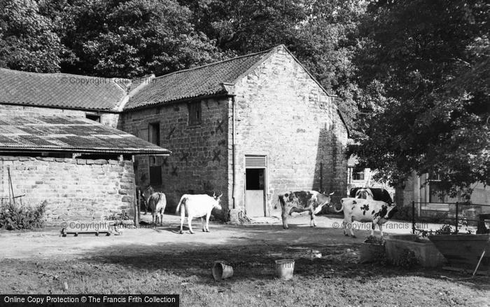 Photo of Hayburn Wyke, The Farm c.1960