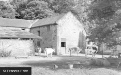 The Farm c.1960, Hayburn Wyke