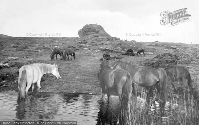 Photo of Haytor Vale, Ponies At Haytor Rocks 1927