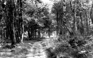 Haywards Heath, the Park c1960