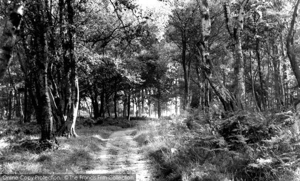 Photo of Haywards Heath, the Park c1960