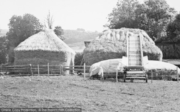 Photo of Hazelbury Bryan, Hay Stacks c.1960