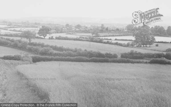 Photo of Hazelbury Bryan, View From Church Foot Lane c.1955