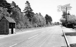 Grayshott Road c.1955, Headley Down