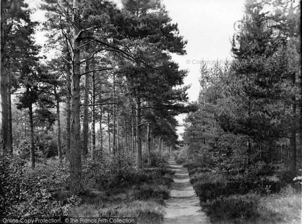Photo of Headley Down, Green Walk, Land Of Nod 1925