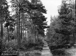 Green Walk, Land Of Nod 1925, Headley Down