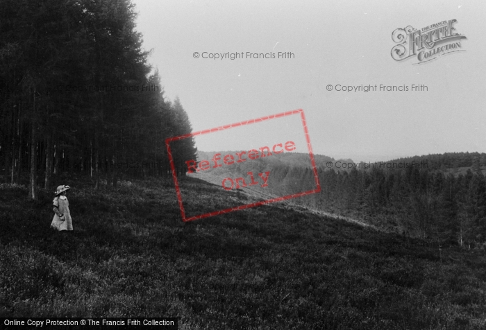 Photo of Headley Down, Land Of Nod 1912