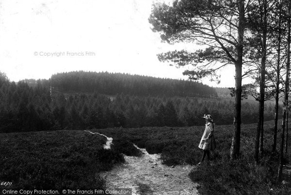 Photo of Headley Down, Land Of Nod 1912