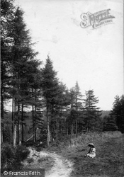 Land Of Nod, Stonehill 1912, Headley Down