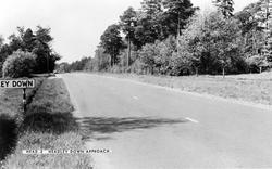 The Approach c.1955, Headley Down