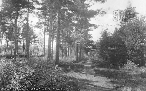 Photo of Headley Down, The Green Walk 1925