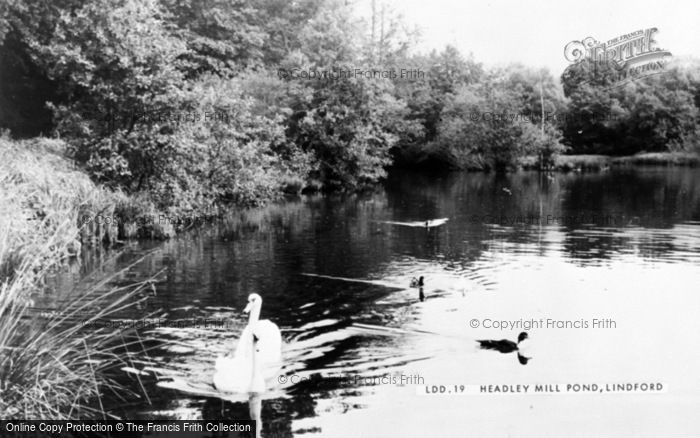 Photo of Headley, Mill Pond c.1955