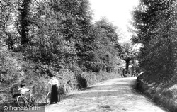 Oyster Lane 1906, Headley