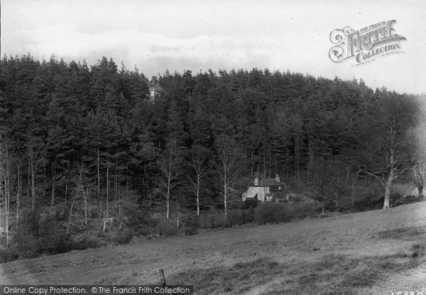 Photo of Headley, Pine Hurst 1919