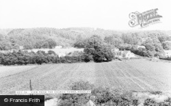 View From The Church Tower c.1955, Headley