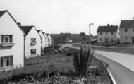 Waldron Thorns c.1955, Heathfield