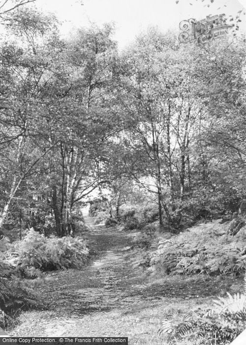 Photo of Hednesford, Glade On The Chase c.1960