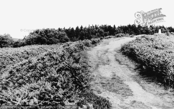 Photo of Hednesford, Highest Point On Cannock Chase 1960