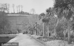 Palms In The Park c.1935, Helston