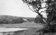 Penrose From The Park 1890, Helston
