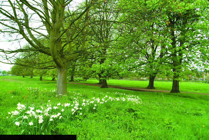 Photo of Hemel Hempstead, Box Moor 2005